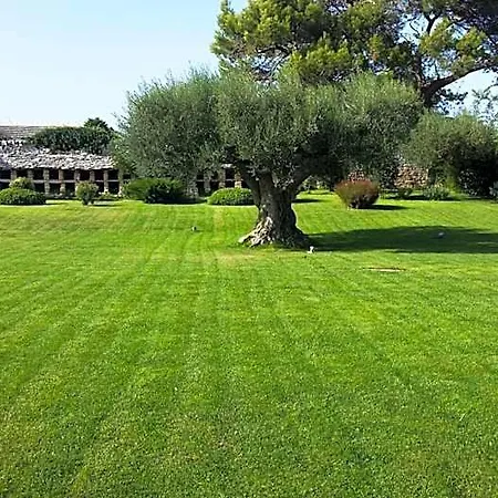 Oda ve Kahvaltı Masseria Luco Martina Franca